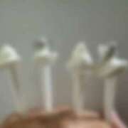 ヒメ日記 2025/12/31 00:20 投稿 ♡せんり先生♡ 梅田ムチぽよ女学院