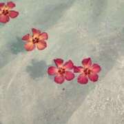 ヒメ日記 2025/07/11 12:21 投稿 あいみ ハニープラザ（ユメオト）