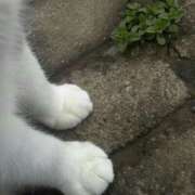 ヒメ日記 2025/07/28 17:50 投稿 あいみ ハニープラザ（ユメオト）