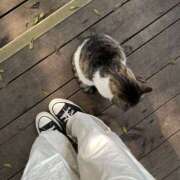 ヒメ日記 2025/08/21 13:21 投稿 あいみ ハニープラザ（ユメオト）