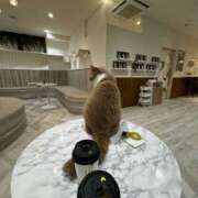 あいみ 現在出勤中です💓 ハニープラザ（ユメオト）