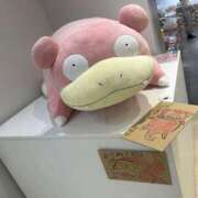 ヒメ日記 2025/03/06 16:50 投稿 はる 所沢東村山ちゃんこ