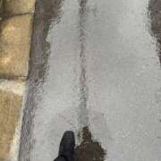 ヒメ日記 2025/03/12 15:57 投稿 はる 所沢東村山ちゃんこ