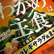 ヒメ日記 2025/03/17 12:42 投稿 はる 所沢東村山ちゃんこ