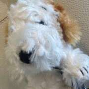 ヒメ日記 2025/03/30 14:08 投稿 はる 所沢東村山ちゃんこ