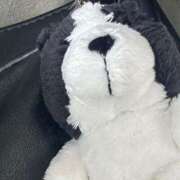 ヒメ日記 2025/04/18 09:52 投稿 はる 所沢東村山ちゃんこ