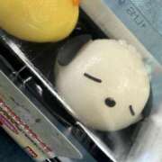 ヒメ日記 2025/04/20 14:01 投稿 はる 所沢東村山ちゃんこ