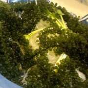 ヒメ日記 2025/04/25 22:51 投稿 はる 所沢東村山ちゃんこ