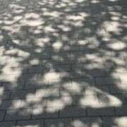 ヒメ日記 2025/04/27 14:00 投稿 はる 所沢東村山ちゃんこ