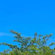 ヒメ日記 2025/05/11 14:05 投稿 はる 所沢東村山ちゃんこ