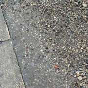 ヒメ日記 2025/06/03 23:49 投稿 はる 所沢東村山ちゃんこ