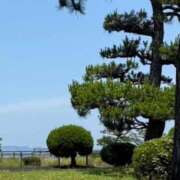 ヒメ日記 2025/07/10 14:47 投稿 はる 所沢東村山ちゃんこ