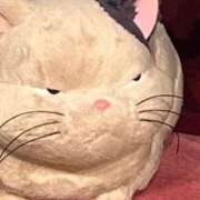 ヒメ日記 2025/07/25 14:01 投稿 はる 所沢東村山ちゃんこ