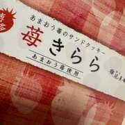 ヒメ日記 2025/07/26 04:46 投稿 はる 所沢東村山ちゃんこ