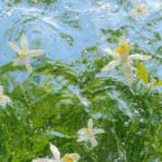 ヒメ日記 2025/08/19 16:51 投稿 はる 所沢東村山ちゃんこ