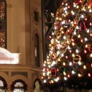 ヒメ日記 2025/11/16 13:56 投稿 はる 所沢東村山ちゃんこ