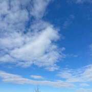 ヒメ日記 2026/01/01 16:23 投稿 はる 所沢東村山ちゃんこ