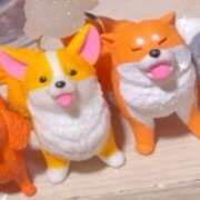 ヒメ日記 2026/02/04 17:01 投稿 はる 所沢東村山ちゃんこ