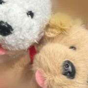 ヒメ日記 2026/02/10 16:45 投稿 はる 所沢東村山ちゃんこ