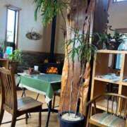 ヒメ日記 2026/04/02 18:01 投稿 はる 所沢東村山ちゃんこ