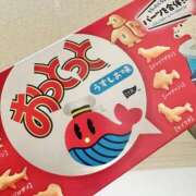 ヒメ日記 2026/04/13 15:03 投稿 はる 所沢東村山ちゃんこ