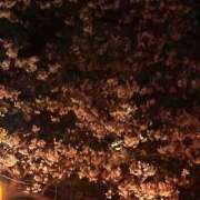 ヒメ日記 2026/04/27 18:06 投稿 はる 所沢東村山ちゃんこ