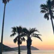 ヒメ日記 2025/04/29 19:54 投稿 ひなた【ギュッとしたらもう虜♡】 LIPS(リップス)