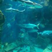 ヒメ日記 2026/01/12 16:25 投稿 ひなた【ギュッとしたらもう虜♡】 LIPS(リップス)