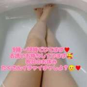 ヒメ日記 2025/03/20 08:03 投稿 フワリ ドMな奥さん 日本橋店