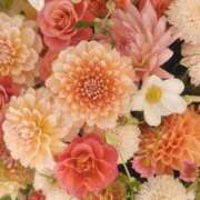 ヒメ日記 2025/03/04 08:24 投稿 よしみ 熟女の風俗最終章 本厚木店