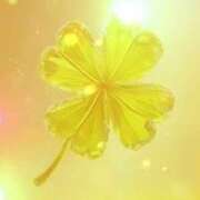 ヒメ日記 2025/03/08 11:53 投稿 よしみ 熟女の風俗最終章 本厚木店