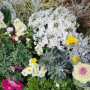 ヒメ日記 2025/04/03 10:17 投稿 よしみ 熟女の風俗最終章 本厚木店