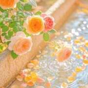 ヒメ日記 2025/04/03 10:39 投稿 よしみ 熟女の風俗最終章 本厚木店