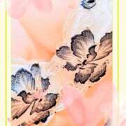 ヒメ日記 2025/04/03 11:45 投稿 よしみ 熟女の風俗最終章 本厚木店