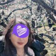 ヒメ日記 2025/04/25 12:25 投稿 よしみ 熟女の風俗最終章 本厚木店