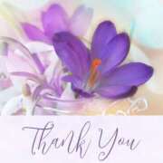 ヒメ日記 2025/06/28 04:48 投稿 よしみ 熟女の風俗最終章 本厚木店