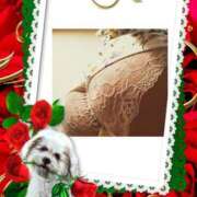 ヒメ日記 2025/09/08 19:00 投稿 よしみ 熟女の風俗最終章 本厚木店