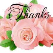 ヒメ日記 2025/11/19 11:04 投稿 よしみ 熟女の風俗最終章 本厚木店