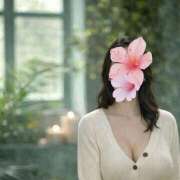 ヒメ日記 2026/01/06 16:11 投稿 よしみ 熟女の風俗最終章 本厚木店