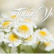 ヒメ日記 2026/03/18 11:02 投稿 よしみ 熟女の風俗最終章 本厚木店