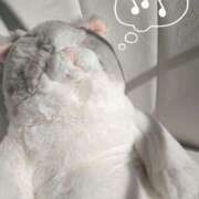 ヒメ日記 2026/01/29 19:54 投稿 ちなつ No.1～ナンバーワン～