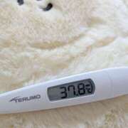 ちなつ おやすみすみません? No.1～ナンバーワン～