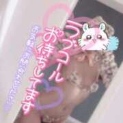 ヒメ日記 2025/12/03 07:53 投稿 らむ スチュワーデス