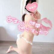 ヒメ日記 2025/12/26 07:48 投稿 らむ スチュワーデス