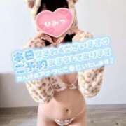 ヒメ日記 2026/01/30 08:57 投稿 らむ スチュワーデス