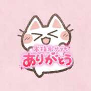 ヒメ日記 2026/02/12 21:34 投稿 らむ スチュワーデス