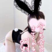 ヒメ日記 2026/04/04 08:16 投稿 らむ スチュワーデス