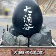 ヒメ日記 2026/04/23 18:05 投稿 らむ スチュワーデス