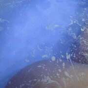 ヒメ日記 2025/07/28 09:16 投稿 なお No.1～ナンバーワン～