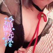 ヒメ日記 2025/07/20 17:16 投稿 うぃ No.1～ナンバーワン～